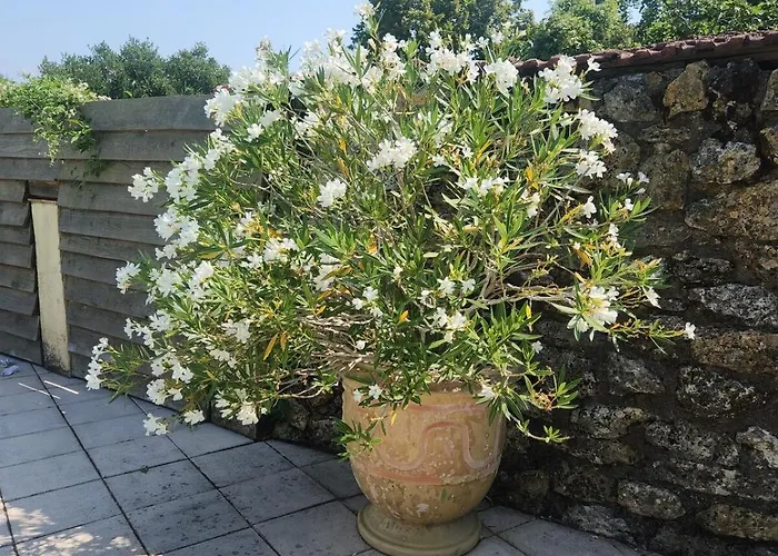 La Petite Maison Du Gers Saint-Orens-Pouy-Petit