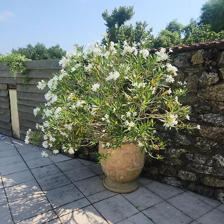 La Petite Maison Du Gers Saint-Orens-Pouy-Petit