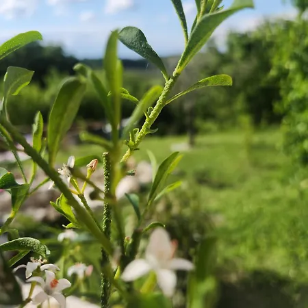 La Petite Maison Du Gers *